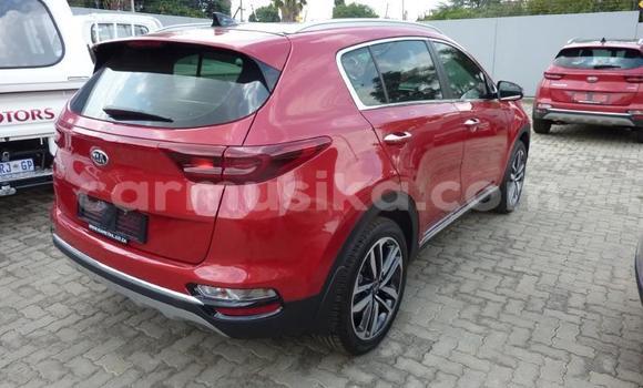 Nunua Ilio tumika Kia Sportage Nyekundu Gari ndani ya Beitbridge nchini Matabeleland Kusini Nunua Ilio tumika Kia Sportage Nyekundu Gari ndani ya Beitbridge nchini Matabeleland Kusini