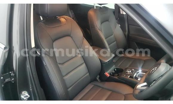 Buy Used Mazda CX-5 Silver Car in Beitbridge in Matabeleland South Buy Used Mazda CX-5 Silver Car in Beitbridge in Matabeleland South