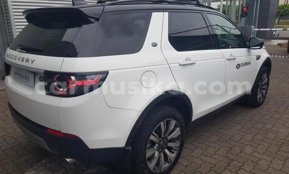 Acheter Occasion Voiture Land Rover Discovery Blanc à Beitbridge, Matabeleland South Acheter Occasion Voiture Land Rover Discovery Blanc à Beitbridge, Matabeleland South