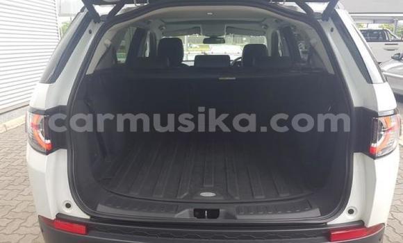 Acheter Occasion Voiture Land Rover Discovery Blanc à Beitbridge, Matabeleland South Acheter Occasion Voiture Land Rover Discovery Blanc à Beitbridge, Matabeleland South