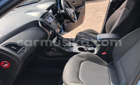 Buy Used Hyundai ix35 Blue Car in Beitbridge in Matabeleland South Buy Used Hyundai ix35 Blue Car in Beitbridge in Matabeleland South