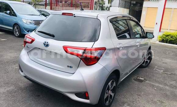 Tenga Tsaru Toyota Vitz Sirivha Mota in Harare in Harare Tenga Tsaru Toyota Vitz Sirivha Mota in Harare in Harare