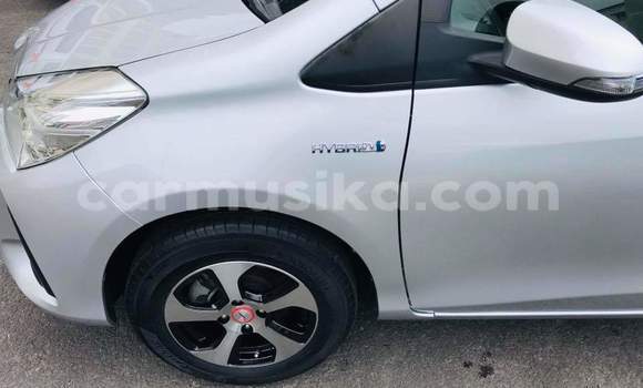 Tenga Tsaru Toyota Vitz Sirivha Mota in Harare in Harare Tenga Tsaru Toyota Vitz Sirivha Mota in Harare in Harare