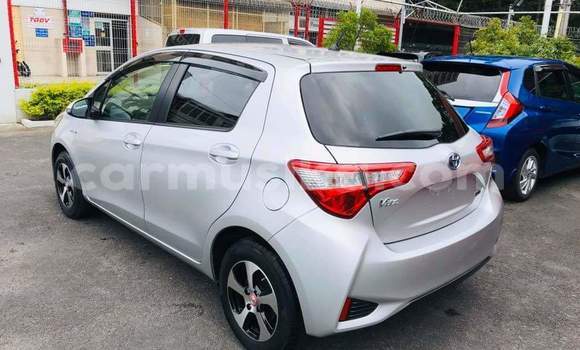 Tenga Tsaru Toyota Vitz Sirivha Mota in Harare in Harare Tenga Tsaru Toyota Vitz Sirivha Mota in Harare in Harare