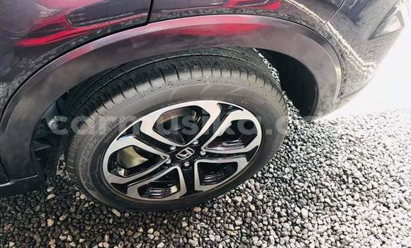 Tenga Tsaru Honda Vezel Zvimwe Mota in Beitbridge in Matabeleland South Tenga Tsaru Honda Vezel Zvimwe Mota in Beitbridge in Matabeleland South