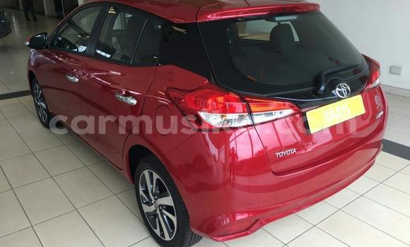 Acheter Occasion Voiture Toyota Yaris Rouge à Beitbridge, Matabeleland South Acheter Occasion Voiture Toyota Yaris Rouge à Beitbridge, Matabeleland South