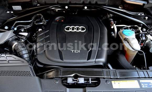 Tenga Tsaru Audi Q5 Bhurawuni Mota in Harare in Harare Tenga Tsaru Audi Q5 Bhurawuni Mota in Harare in Harare
