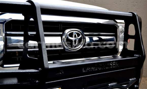Tenga Tsaru Toyota Land Cruiser Chena Mota in Harare in Harare Tenga Tsaru Toyota Land Cruiser Chena Mota in Harare in Harare