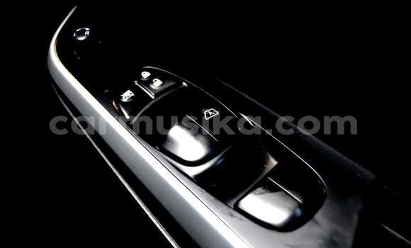 Tenga Tsaru Nissan Navara Chena Mota in Harare in Harare Tenga Tsaru Nissan Navara Chena Mota in Harare in Harare