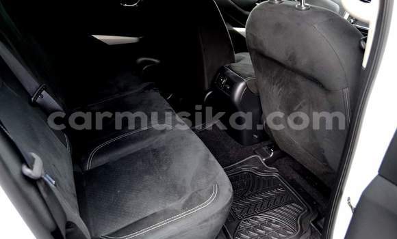 Tenga Tsaru Nissan Navara Chena Mota in Harare in Harare Tenga Tsaru Nissan Navara Chena Mota in Harare in Harare