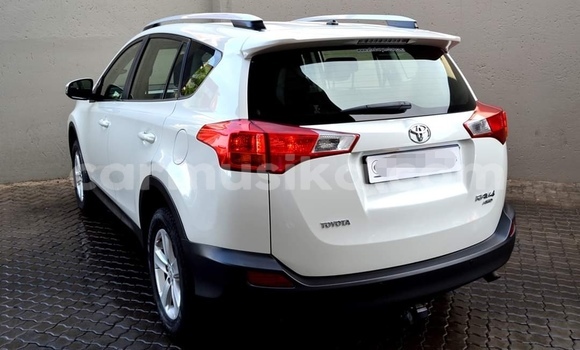 Tenga Tsaru Toyota RAV4 Chena Mota in Harare in Harare Tenga Tsaru Toyota RAV4 Chena Mota in Harare in Harare