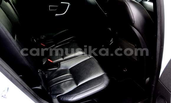 Tenga Tsaru Land Rover Discovery Sport Chena Mota in Harare in Harare Tenga Tsaru Land Rover Discovery Sport Chena Mota in Harare in Harare