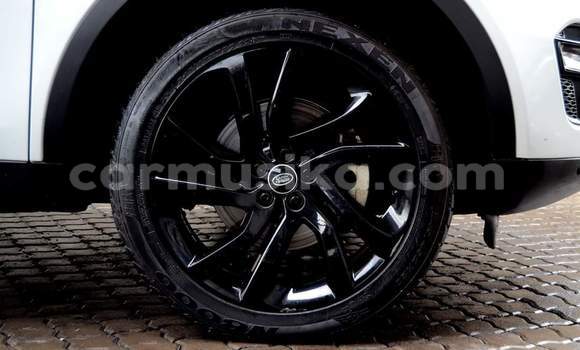 Tenga Tsaru Land Rover Discovery Sport Chena Mota in Harare in Harare Tenga Tsaru Land Rover Discovery Sport Chena Mota in Harare in Harare