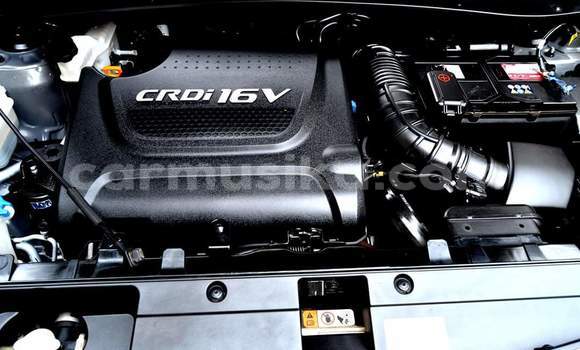 Tenga Tsaru Kia Sportage Zvimwe Mota in Harare in Harare Tenga Tsaru Kia Sportage Zvimwe Mota in Harare in Harare