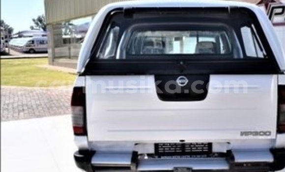 Acheter Occasion Voiture Nissan Hardbody Blanc à Beitbridge, Matabeleland South Acheter Occasion Voiture Nissan Hardbody Blanc à Beitbridge, Matabeleland South