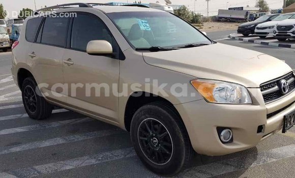 Tenga Imported Toyota RAV4 Zvimwe Mota in Import - Dubai in Harare Tenga Imported Toyota RAV4 Zvimwe Mota in Import - Dubai in Harare