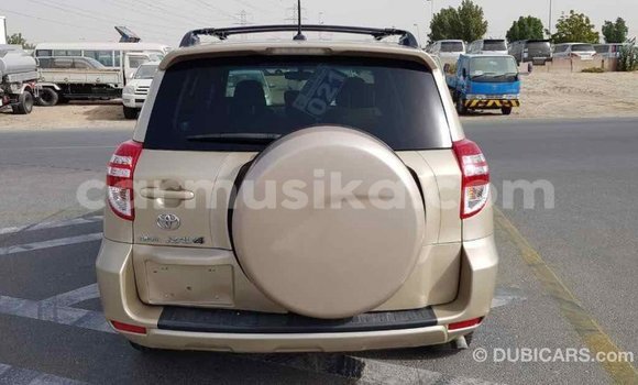 Tenga Imported Toyota RAV4 Zvimwe Mota in Import - Dubai in Harare Tenga Imported Toyota RAV4 Zvimwe Mota in Import - Dubai in Harare