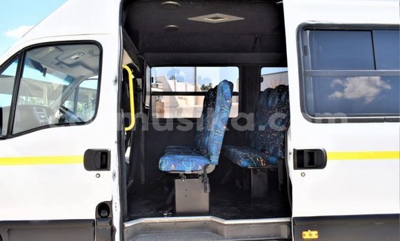 Acheter Occasion Utilitaire Hino 300 Series Blanc à Beitbridge, Matabeleland South Acheter Occasion Utilitaire Hino 300 Series Blanc à Beitbridge, Matabeleland South