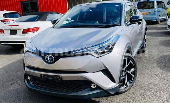 Buy Used Toyota C-HR Silver Car in Harare in Harare Buy Used Toyota C-HR Silver Car in Harare in Harare