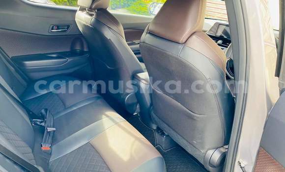 Buy Used Toyota C-HR Silver Car in Harare in Harare Buy Used Toyota C-HR Silver Car in Harare in Harare