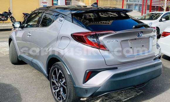 Buy Used Toyota C-HR Silver Car in Harare in Harare Buy Used Toyota C-HR Silver Car in Harare in Harare
