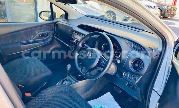 Tenga Tsaru Toyota Vitz Sirivha Mota in Harare in Harare Tenga Tsaru Toyota Vitz Sirivha Mota in Harare in Harare