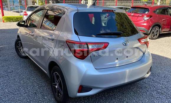 Tenga Tsaru Toyota Vitz Sirivha Mota in Harare in Harare Tenga Tsaru Toyota Vitz Sirivha Mota in Harare in Harare