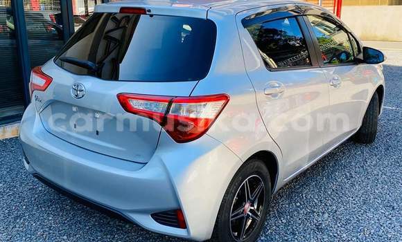 Tenga Tsaru Toyota Vitz Sirivha Mota in Harare in Harare Tenga Tsaru Toyota Vitz Sirivha Mota in Harare in Harare