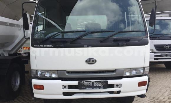 Buy Used Nissan UD White Truck in Beitbridge in Matabeleland South