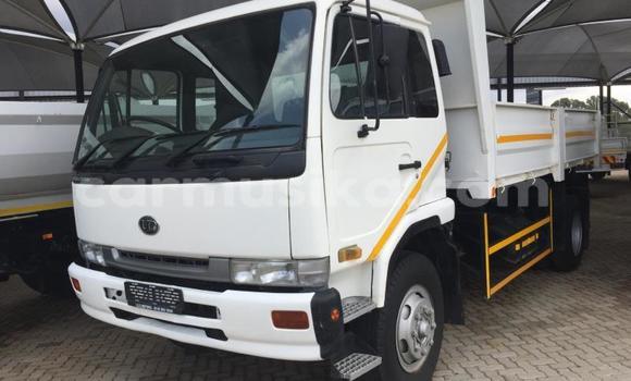 Tenga Tsaru Nissan UD Chena Rori in Beitbridge in Matabeleland South Tenga Tsaru Nissan UD Chena Rori in Beitbridge in Matabeleland South