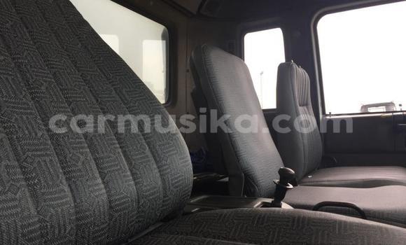 Tenga Tsaru Nissan UD Chena Rori in Beitbridge in Matabeleland South Tenga Tsaru Nissan UD Chena Rori in Beitbridge in Matabeleland South