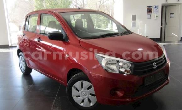 Tenga Tsaru Suzuki Swift Tsvuku Mota in Beitbridge in Matabeleland South Tenga Tsaru Suzuki Swift Tsvuku Mota in Beitbridge in Matabeleland South
