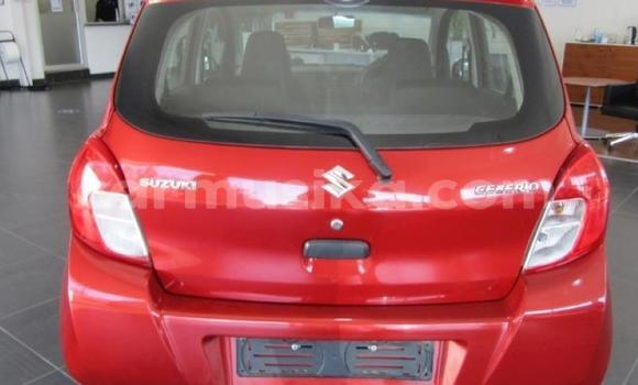 Tenga Tsaru Suzuki Swift Tsvuku Mota in Beitbridge in Matabeleland South Tenga Tsaru Suzuki Swift Tsvuku Mota in Beitbridge in Matabeleland South