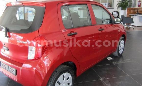 Tenga Tsaru Suzuki Swift Tsvuku Mota in Beitbridge in Matabeleland South Tenga Tsaru Suzuki Swift Tsvuku Mota in Beitbridge in Matabeleland South