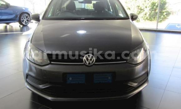 Tenga Tsaru Volkswagen Polo Sirivha Mota in Beitbridge in Matabeleland South Tenga Tsaru Volkswagen Polo Sirivha Mota in Beitbridge in Matabeleland South