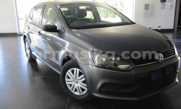 Tenga Tsaru Volkswagen Polo Sirivha Mota in Beitbridge in Matabeleland South Tenga Tsaru Volkswagen Polo Sirivha Mota in Beitbridge in Matabeleland South