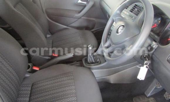 Tenga Tsaru Volkswagen Polo Sirivha Mota in Beitbridge in Matabeleland South Tenga Tsaru Volkswagen Polo Sirivha Mota in Beitbridge in Matabeleland South