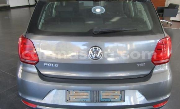 Tenga Tsaru Volkswagen Polo Sirivha Mota in Beitbridge in Matabeleland South Tenga Tsaru Volkswagen Polo Sirivha Mota in Beitbridge in Matabeleland South