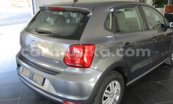 Tenga Tsaru Volkswagen Polo Sirivha Mota in Beitbridge in Matabeleland South Tenga Tsaru Volkswagen Polo Sirivha Mota in Beitbridge in Matabeleland South