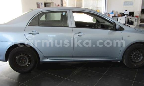 Buy Used Toyota Corolla Blue Car in Beitbridge in Matabeleland South