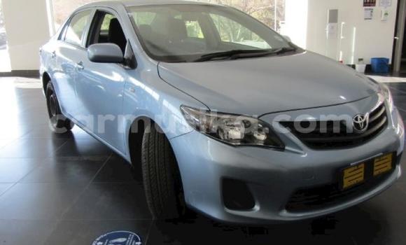 Acheter Occasion Voiture Toyota Corolla Bleu à Beitbridge, Matabeleland South Acheter Occasion Voiture Toyota Corolla Bleu à Beitbridge, Matabeleland South