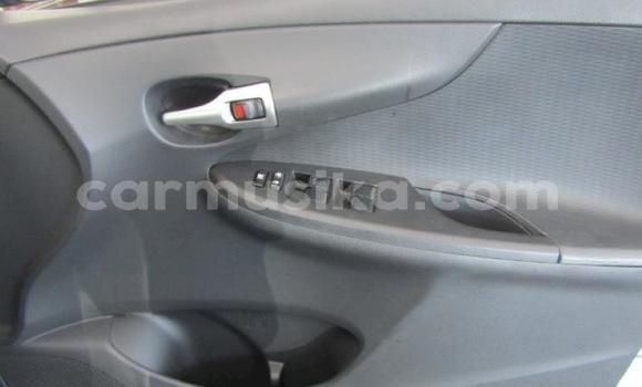 Acheter Occasion Voiture Toyota Corolla Bleu à Beitbridge, Matabeleland South Acheter Occasion Voiture Toyota Corolla Bleu à Beitbridge, Matabeleland South