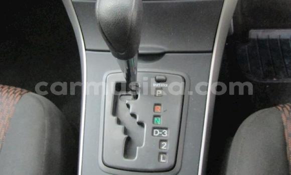 Acheter Occasion Voiture Toyota Corolla Bleu à Beitbridge, Matabeleland South Acheter Occasion Voiture Toyota Corolla Bleu à Beitbridge, Matabeleland South