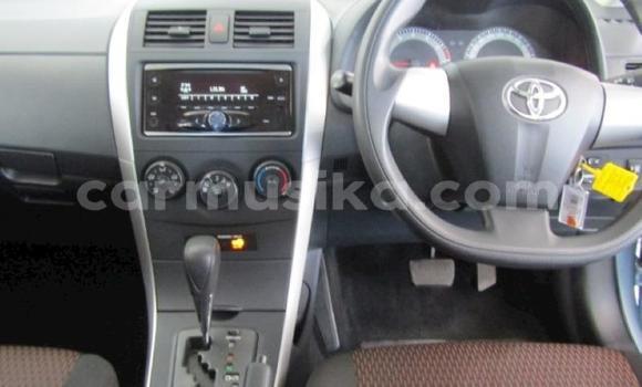 Acheter Occasion Voiture Toyota Corolla Bleu à Beitbridge, Matabeleland South Acheter Occasion Voiture Toyota Corolla Bleu à Beitbridge, Matabeleland South