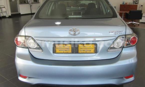 Acheter Occasion Voiture Toyota Corolla Bleu à Beitbridge, Matabeleland South Acheter Occasion Voiture Toyota Corolla Bleu à Beitbridge, Matabeleland South