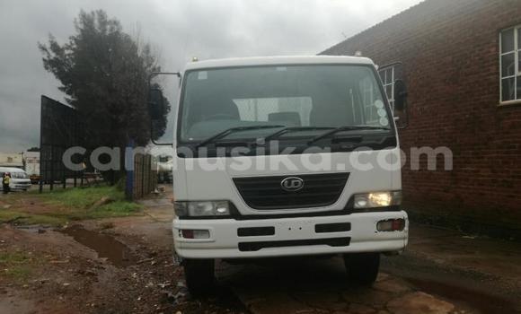 Tenga Tsaru Nissan UD Chena Rori in Beitbridge in Matabeleland South Tenga Tsaru Nissan UD Chena Rori in Beitbridge in Matabeleland South