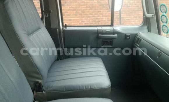 Tenga Tsaru Nissan UD Chena Rori in Beitbridge in Matabeleland South Tenga Tsaru Nissan UD Chena Rori in Beitbridge in Matabeleland South