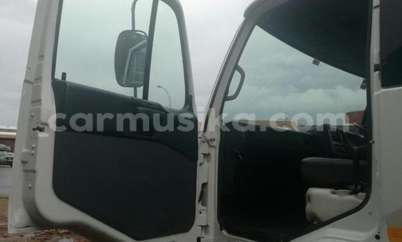 Tenga Tsaru Nissan UD Chena Rori in Beitbridge in Matabeleland South Tenga Tsaru Nissan UD Chena Rori in Beitbridge in Matabeleland South