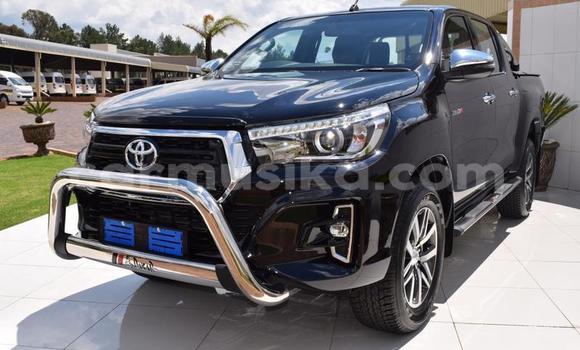 Tenga Tsaru Toyota Hilux Nhema Mota in Beitbridge in Matabeleland South Tenga Tsaru Toyota Hilux Nhema Mota in Beitbridge in Matabeleland South