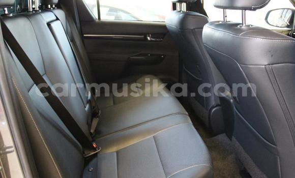 Acheter Occasion Voiture Toyota Hilux Gris à Beitbridge, Matabeleland South Acheter Occasion Voiture Toyota Hilux Gris à Beitbridge, Matabeleland South